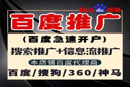 竞价广告的实战经验分享：某电商巨头的成功秘诀
